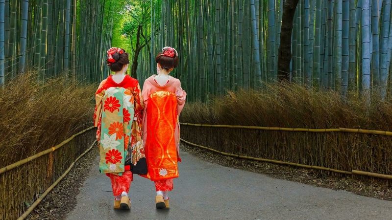 В Японии два города исключат из программы поддержки внутреннего туризма