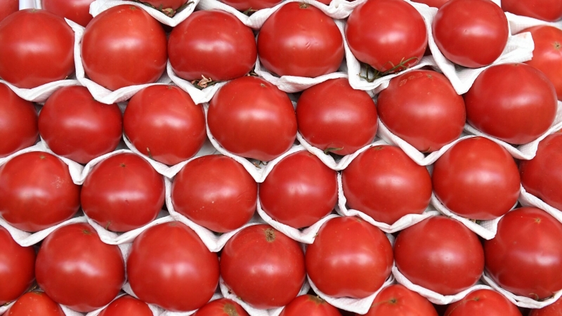 В России вступил в силу запрет на импорт томатов и яблок из Азербайджана