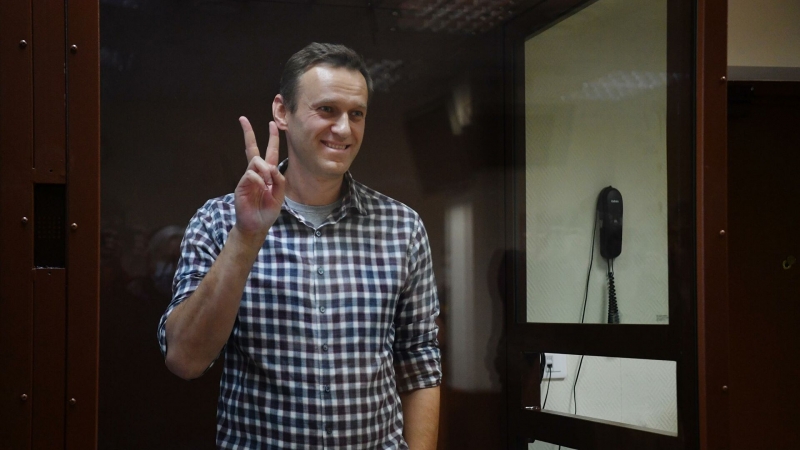 AI выяснит, "что пошло не так" с признанием Навального узником совести