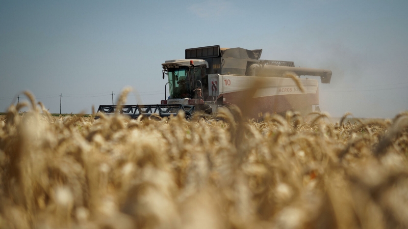 В России утвердили гибкую пошлину на экспорт пшеницы, кукурузы и ячменя