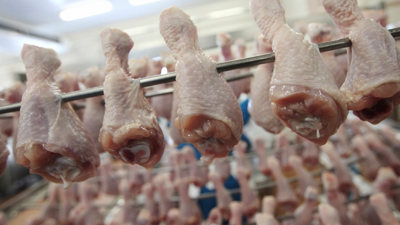 ФАС начала проверять производителей куриного мяса и яиц