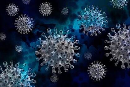 Оценено влияние штамма из ЮАР на ход пандемии коронавируса в России