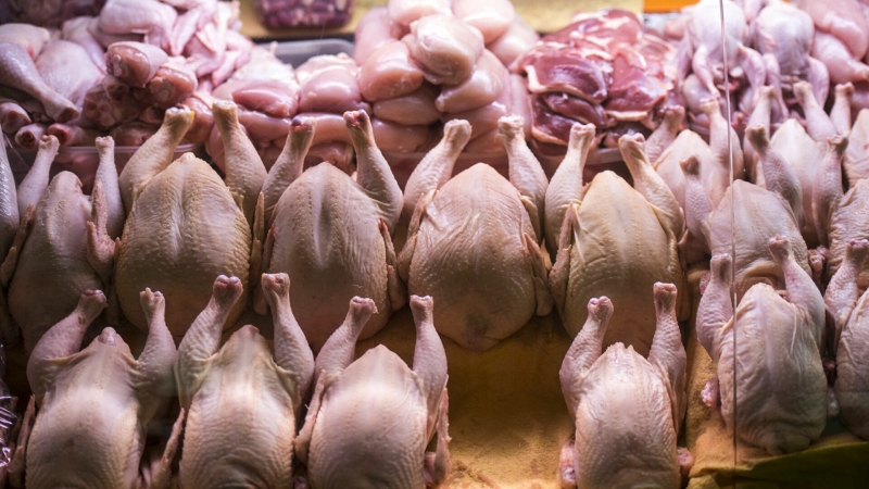 Россия может снизить пошлину на мясо птицы из Бразилии, сообщил источник