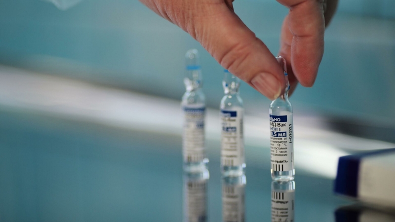 Times: в Германии признали эффективность российской вакцины "Спутник V" 