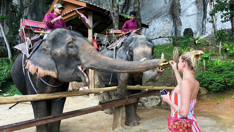 Власти Таиланда планируют изменить правила приема туристов