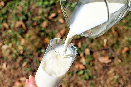Диетолог объяснила плохое усвоение молока