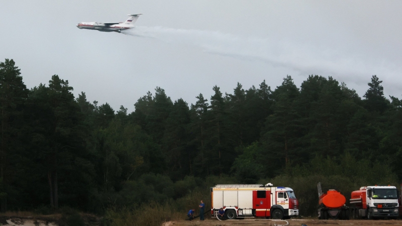 На защиту лесов от пожаров направят почти 2 млрд рублей в Иркутской области