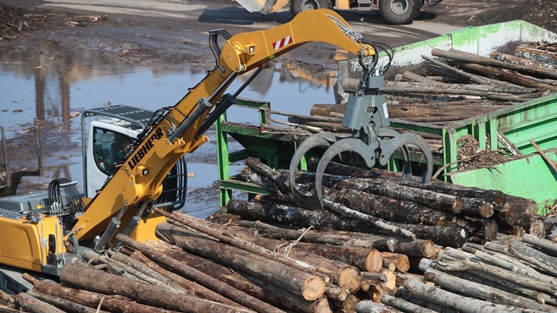 Объем заготовок древесины сократился в Карелии