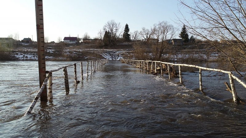 В Минприроды РФ признали сложной паводковую ситуацию под Рязанью
