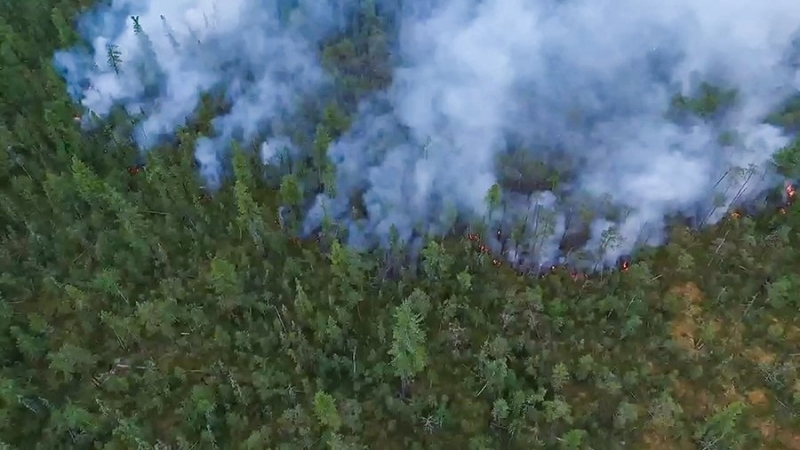 Режим ЧС ввели в лесах Кондинского района ХМАО из-за пожаров