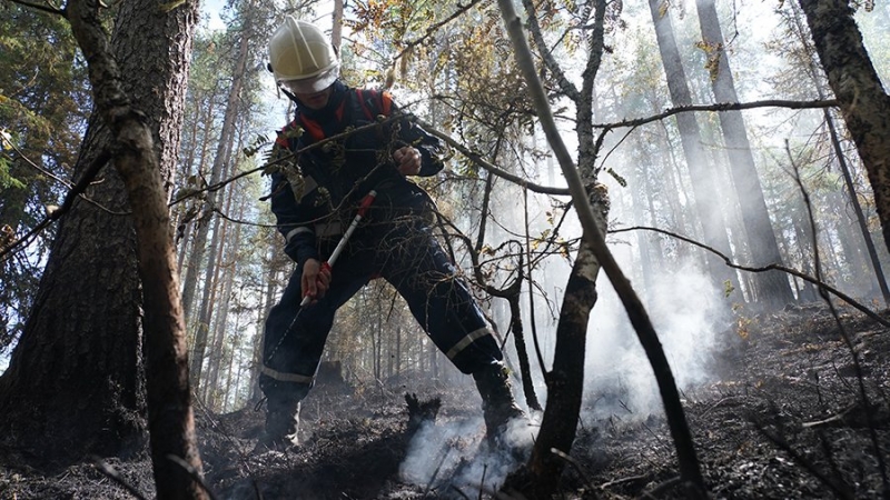 Режим ЧС ввели на территории всей Томской области из-за пожаров