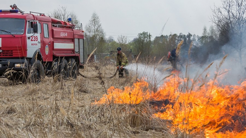 Особый противопожарный режим отменят на севере Амурской области