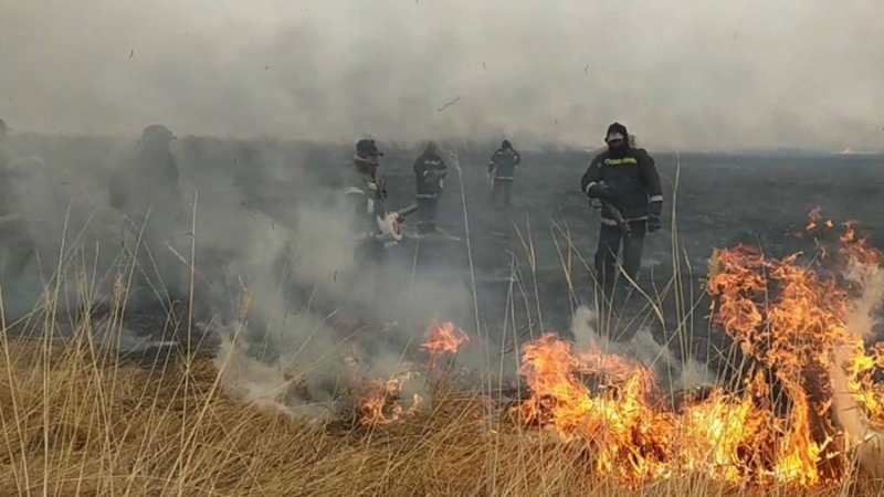 Площадь лесных пожаров в Хабаровском крае почти достигла 135 тыс. га