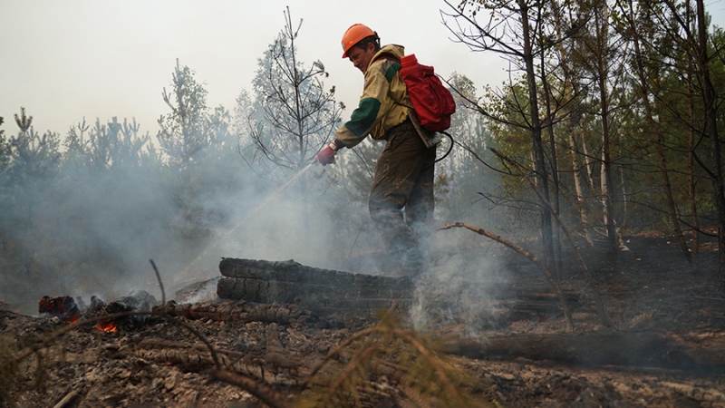 В России площадь природных пожаров превысила 1 млн га