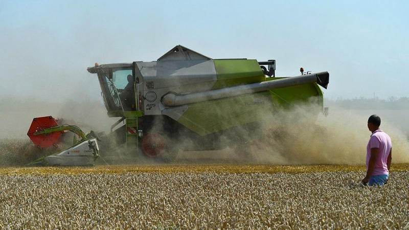 Более 2 млн т зерна намолотили сельхозпроизводители в Крыму