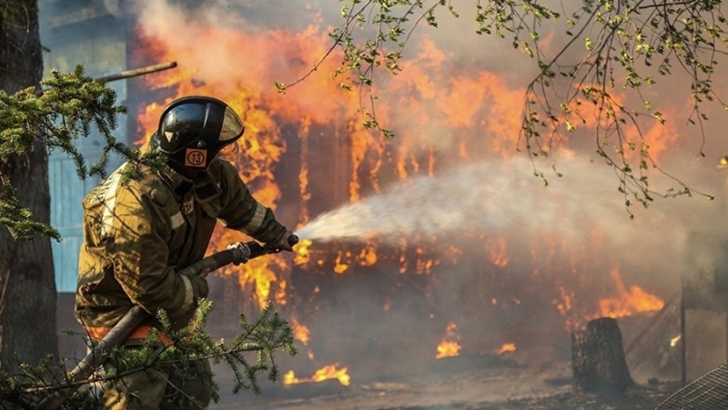 Региональный режим ЧС ввели в ЯНАО из-за лесных пожаров