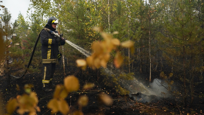 Режим повышенной готовности ввели в Пензенской области из-за риска пожаров