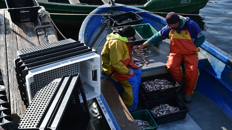 Крымские рыболовы получат компенсацию из-за запрета на выход в море
