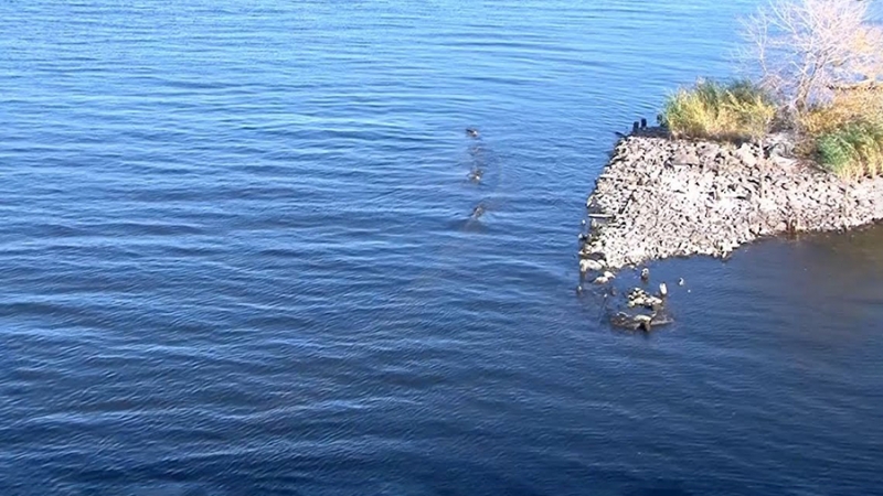 Останки ледокола появились из воды под Энгельсом из-за обмеления Волги