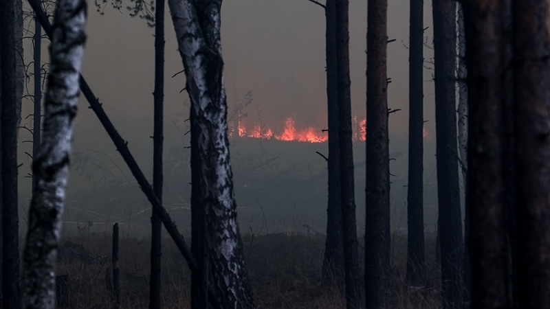 Пожароопасный сезон закончился в лесничествах Приангарья