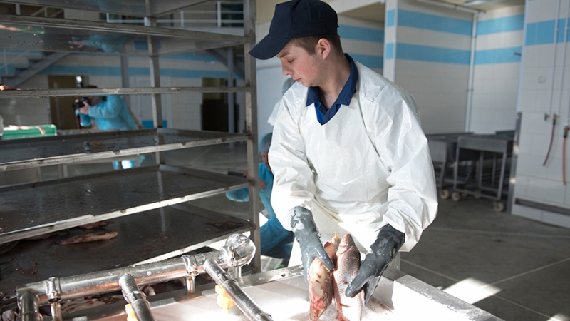 Первый учебный центр при рыбном заводе открылся на Камчатке