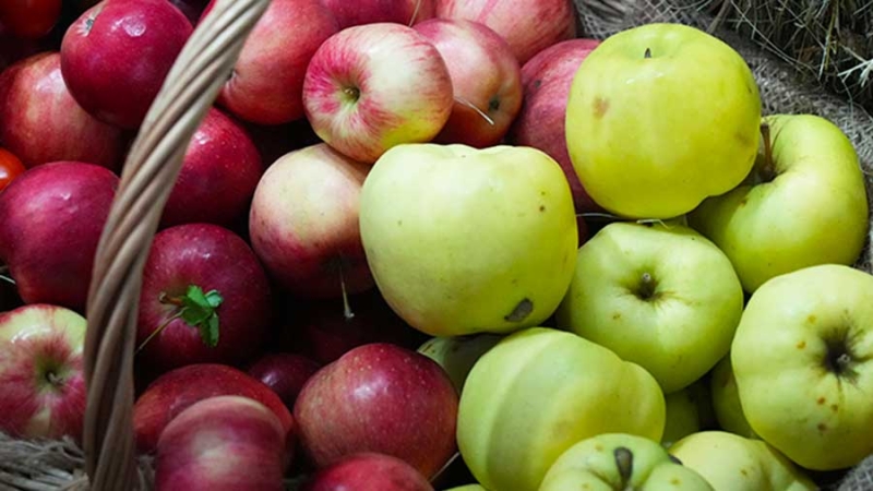 Урожай яблок вырос на 9% и достиг 138 тыс. т в Крыму
