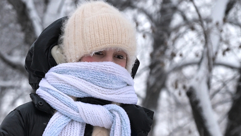 В школах Саратова вновь отменили занятия из-за морозов