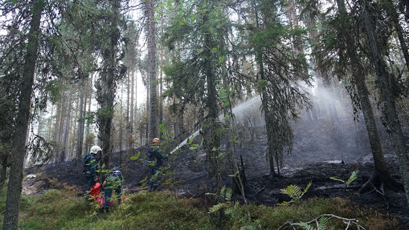 Высокую пожарную опасность спрогнозировали в Иркутской области